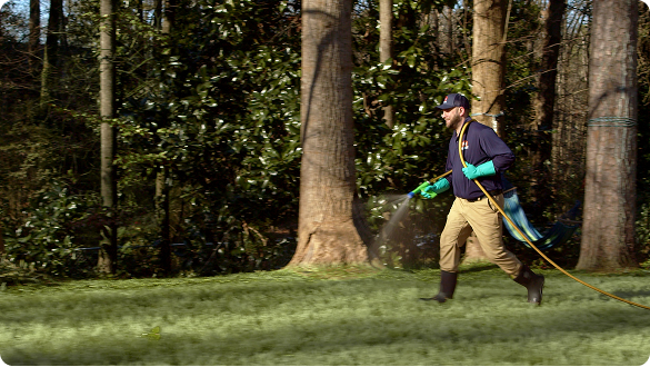 Lawn performing service (1)