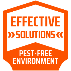 NH_Effective-Solutions-Pest-Free-Orange-v1