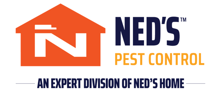 Neds Pest 1 (3)