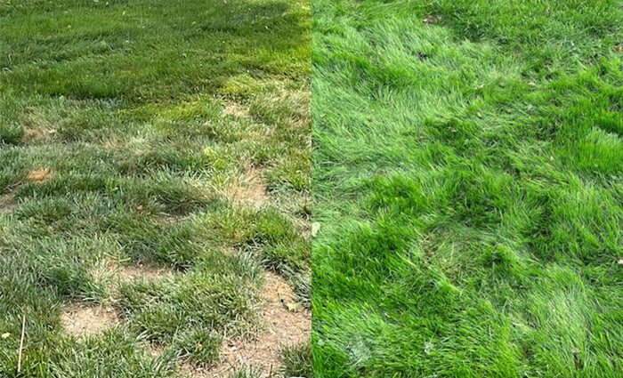 aeration-before-after_700x425 aeration-before-after_700x425