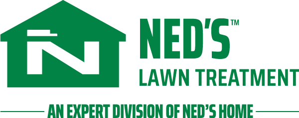 NH-Logo-Experts-Lawn-Green NH-Logo-Experts-Lawn-Green